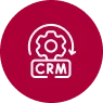 crm-development-service